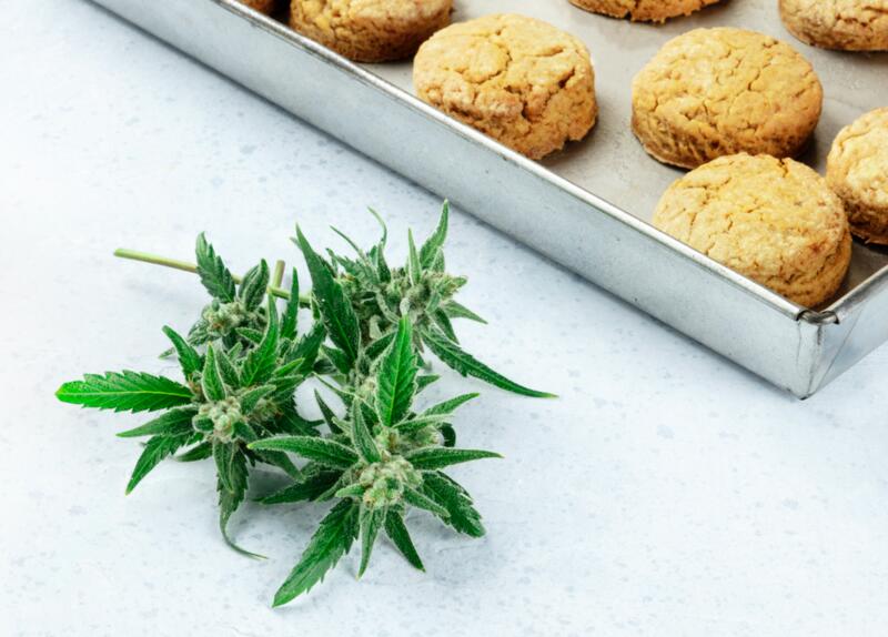 Curious about cooking with cannabis?