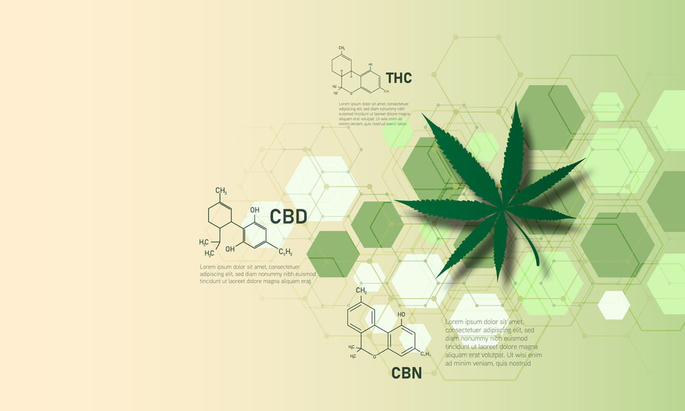 The Healing Power of CBD: Unveiling Its Myriad Benefits