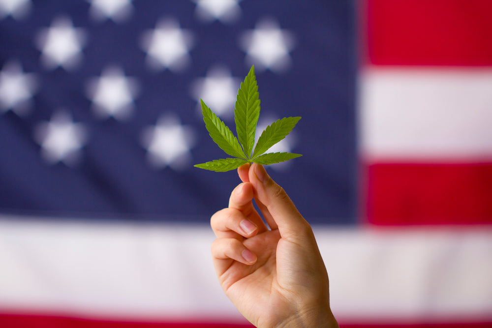 Exploring the Top Cannabis Capitals in the United States: Where Cannabis Culture Thrives