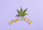 The Rising Popularity of Marijuana Edibles: A Sweet Revolution Introduction