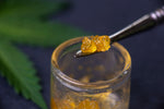 The World of Cannabis Concentrates: A Potent Journey into Concentrated Bliss