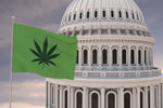A Historic Step Forward: The Bipartisan Marijuana Legalization Bill